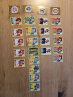 Panini world cup 2026