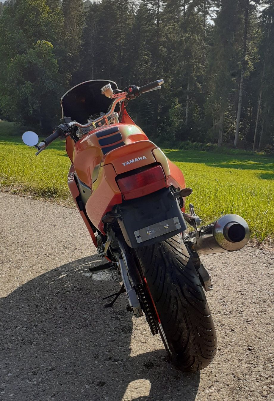 Yamaha Strada: Yamaha FZR 1000 – Usato da Unterlangenegg venduto da vitas 6