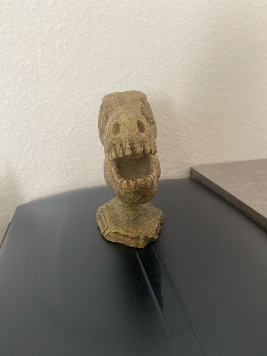 Statuette: Crâne de dinosaure - Objet de décoration – Nuovo (secondo la descrizione) da Fribourg venduto da lau_5lkk 1