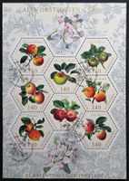 Bogen Alte Obstsorten - Apfel Ersttag 2015