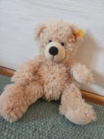 Ganz süsser, kleiner Steiff Teddybär, Teddy