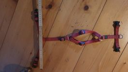 Hundegeschirr mit Halsband