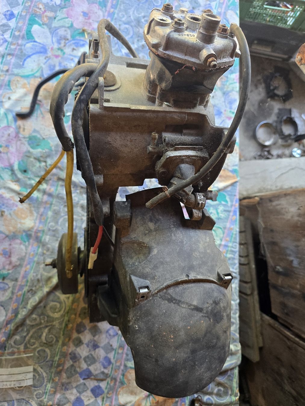 Piaggio Parti ricambio per ciclomotori: Roller Piaggio Motor  – Usato da Aarberg venduto da 2002stefan 1