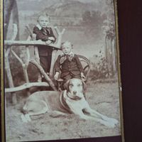 Antike Fotografie, Bueben mit Hund Jacques Studer Weinfelden