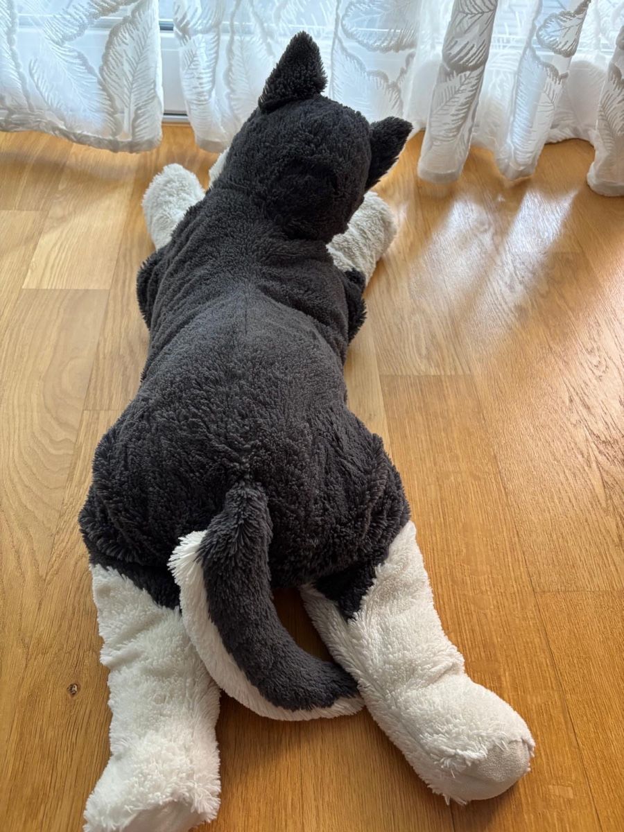 Ikea Spielzeuge: Hund Husky Stofftier Ikea  – Gebraucht aus Balsthal von Inty200 2