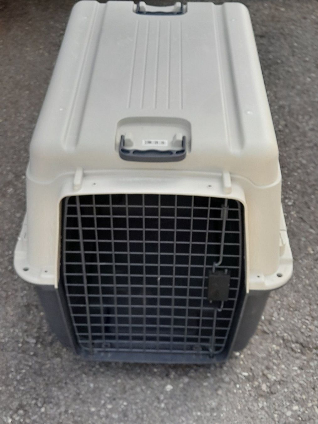 Gabbie, trasporto & Sicurezza: Hunde Transportbox 80 x 55  H = 60 – Usato da Aeschi b.Spiez venduto da 52_wochen 8
