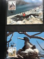 WWF Ascension 1990 Adlerfregattvogel Satz Maximumkarten