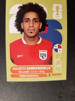 Panini 2026 PAN12