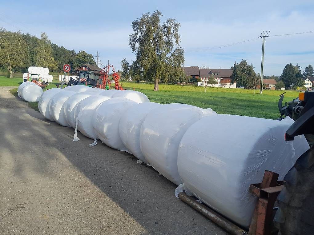Mangimi: 10 Grassilo Siloballen – Usato da Wetzikon ZH venduto da mar_mh5m