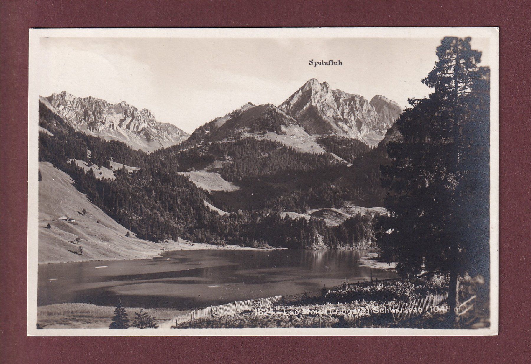 Ansichtskarten: LAC NOIR / SCHWARZSEE - Spitzfluh - 1925 – Gebraucht aus Pully von nicecards