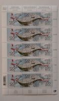 bogen "100 jahre flugdienst swisstopo" **