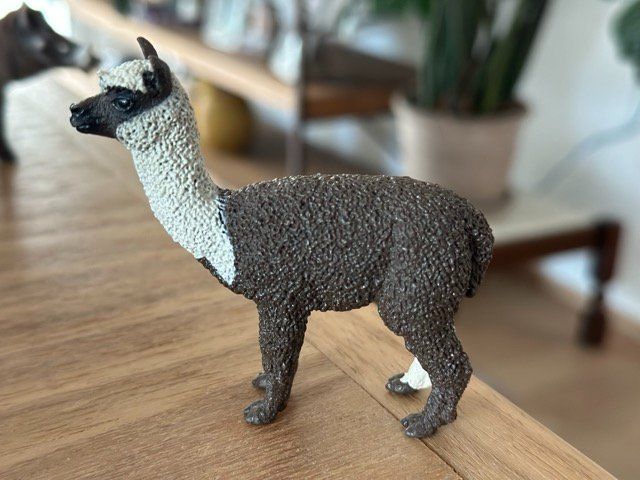 Schleich Statuette: Schleich Alpaka Sammelfigur – Usato da Fällanden venduto da SafariSchleichCH