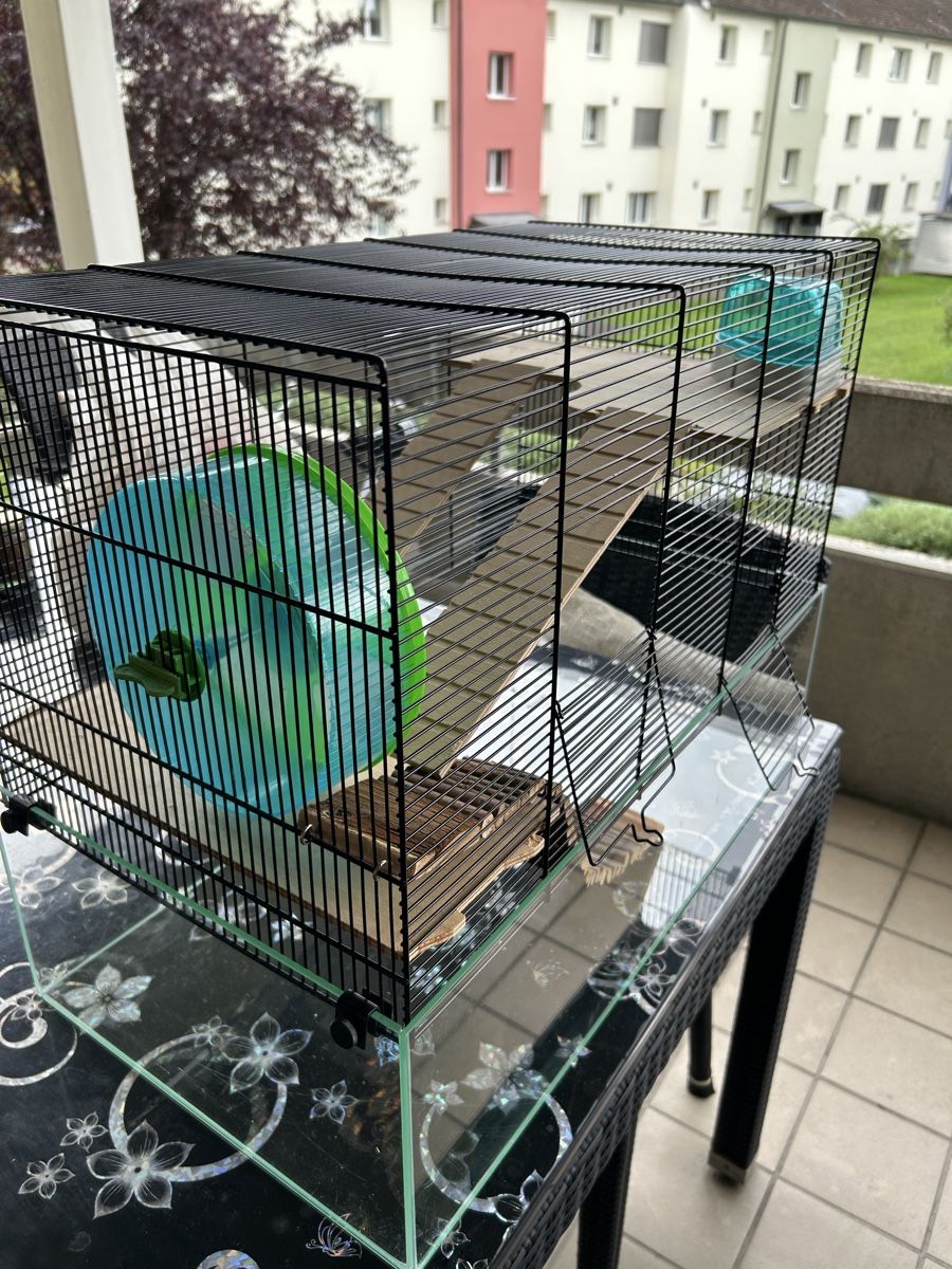 Käfige, Transport & Sicherheit: Käfig für Hamster – Gebraucht aus Winterthur von Murat74