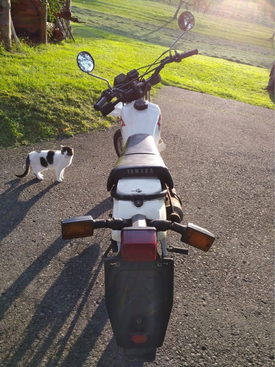 Enduro: Motorrad – Usato da Lauerz venduto da dett85 2