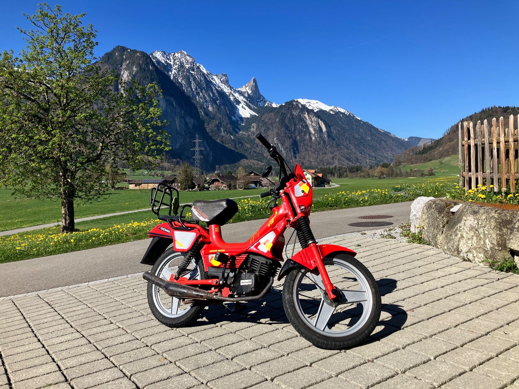 Malaguti Mofas: 🔥Original Fifty Malaguti Motor | Top Zustand | Italo Mofa🔥 – Gebraucht aus Zwieselberg von Lucky1923