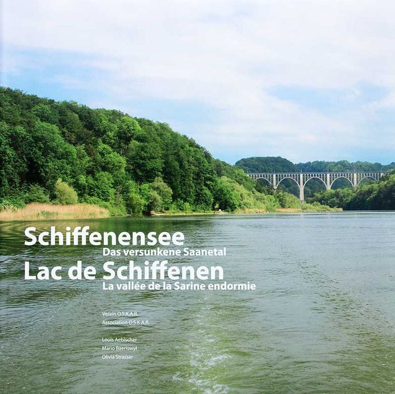 Libri: Schiffenensee – Das versunkene Saanetal – Usato da Bern venduto da Grindelwaldaus