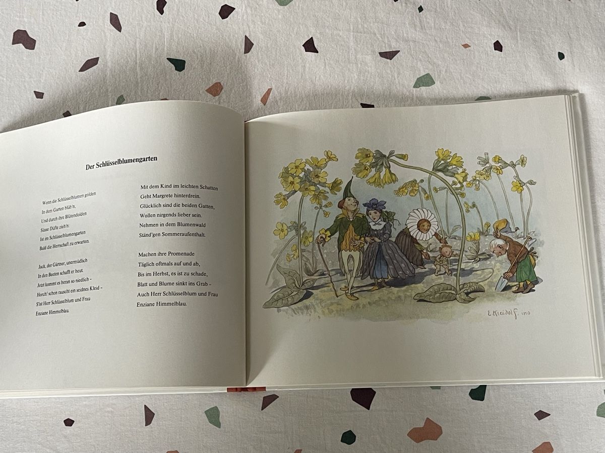 Libri: Blumen-Märchen Buch von Ernst Kreidolf – Usato da Hirzel venduto da carta9 2