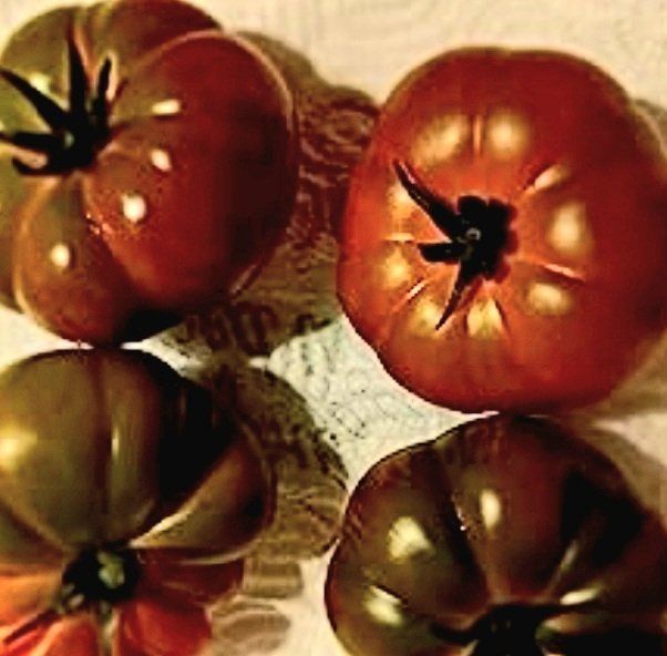 Pflanzen & Samen: Ab 5.- fr 5 Samen schwarze RIPPENTOMATE – Neu und originalverpackt aus Rovio von POSITIFFARTandPLANTS 6