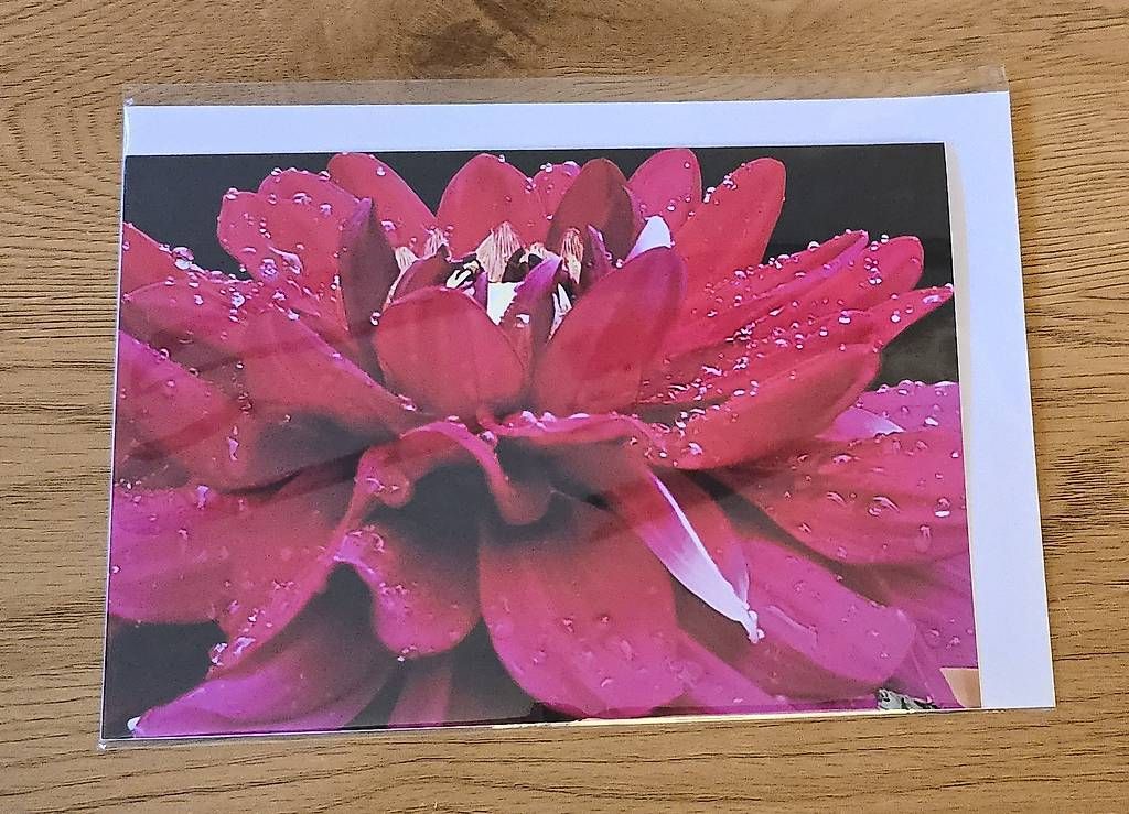 Cartes: Doppel Karte A5 NEU – D'occasion à Chur par Frei3912 2