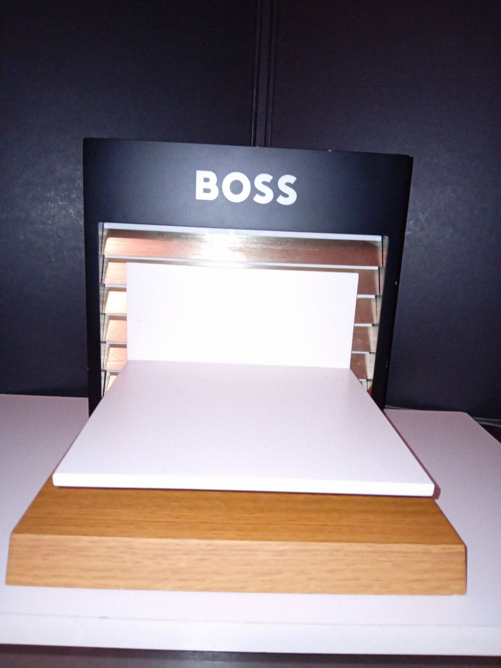 Tutte le decorazioni: Espositore BOSS – Usato da Biasca venduto da Old_6blh