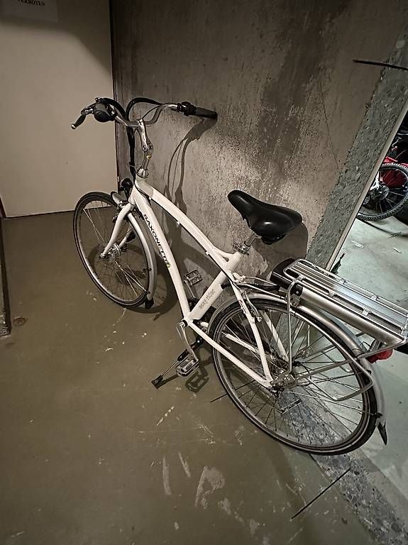 Veicoli elettrici: Elektro Fahrrad Saxonette – Usato da Schüpfen venduto da TOY-58 3