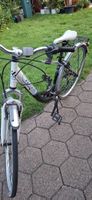 City Bike Totem Aluminium Damen Rad guter Zustand