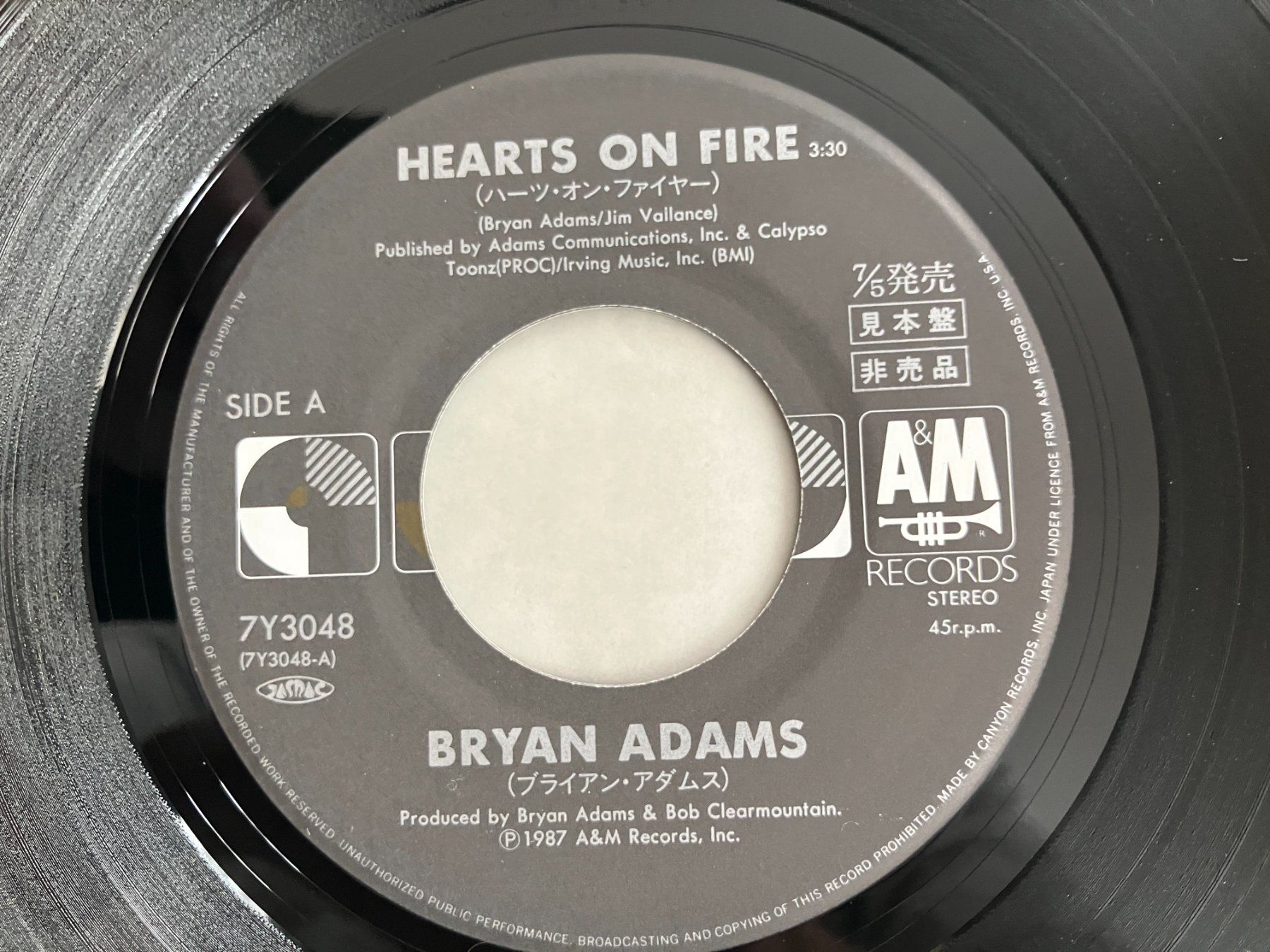 Dischi in vinile: Bryan Adams – Usato da Aarwangen venduto da Jukebox3 5
