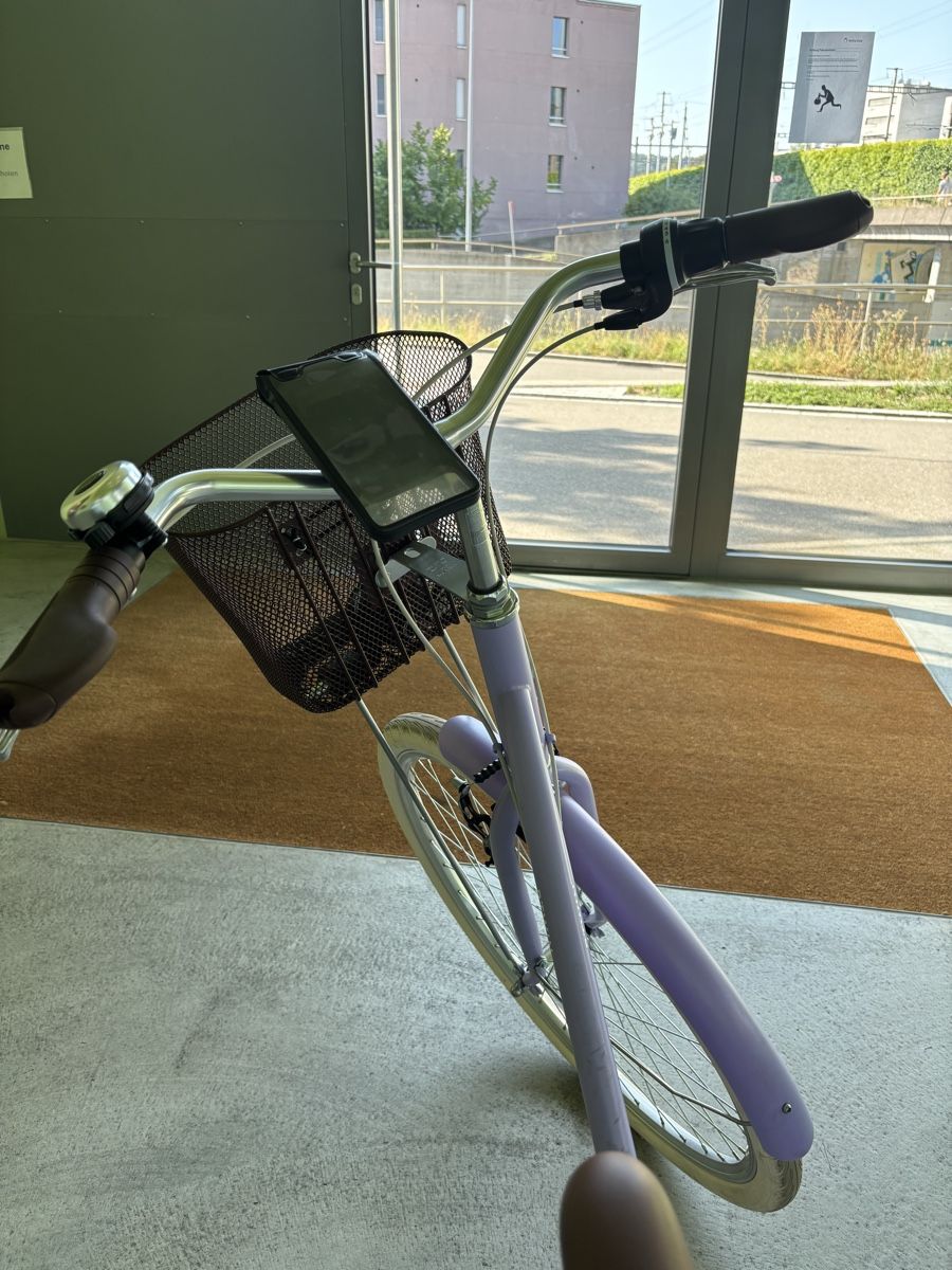 Velos: BICYCLE – Gebraucht aus Dietikon von nik_m8xx 2