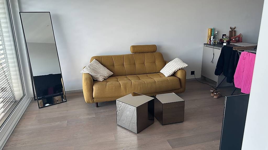 Divani: Canapé lit, canapé convertible – Nuovo (secondo la descrizione) da La Conversion venduto da lil_728g