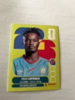 Panini World Cup 2026