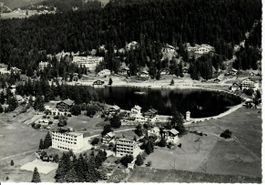 Bella Lui Montana