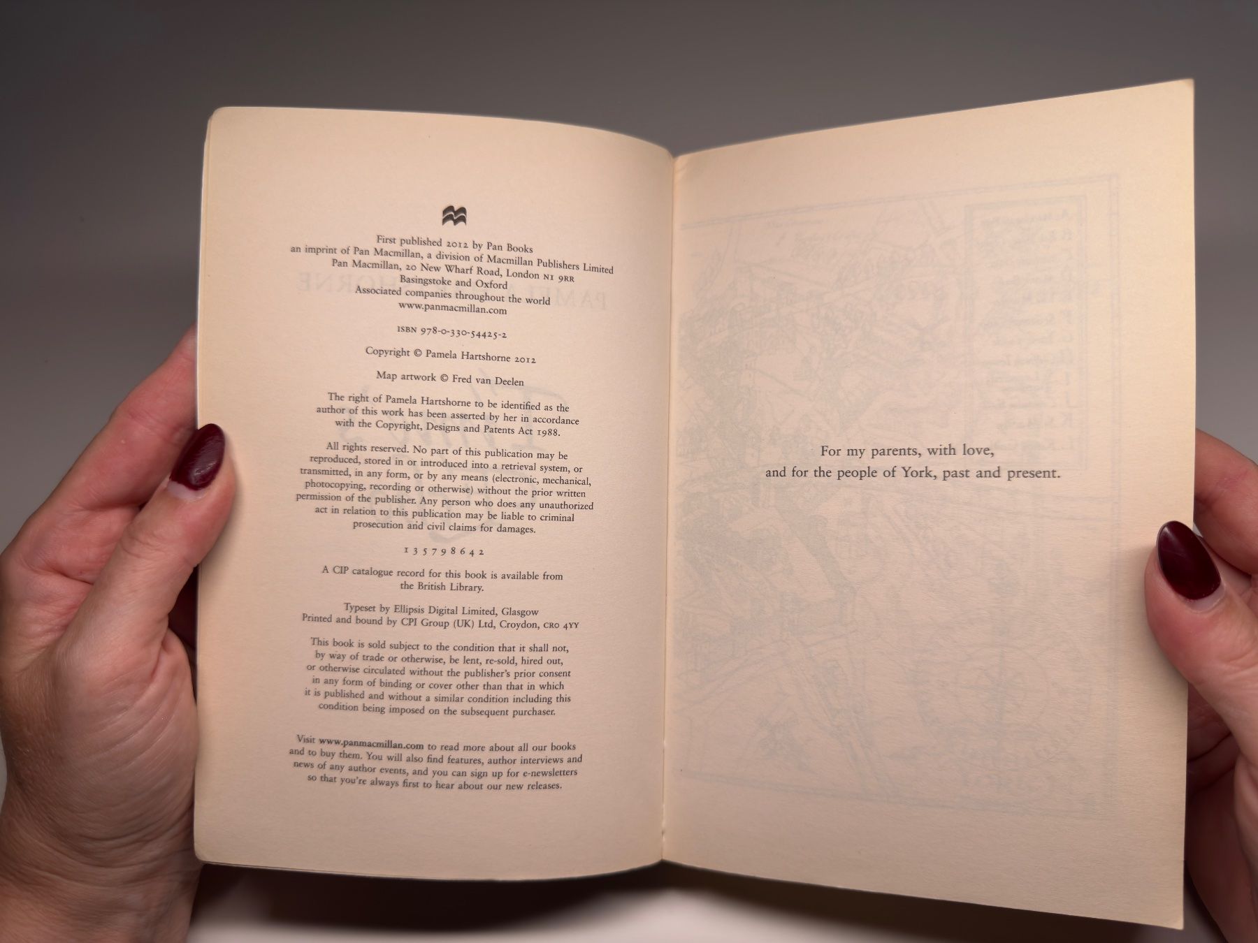 Libri: NOVEL: Pamela Hardshorne, Time's echo – Usato da Grosswangen venduto da English_books 2