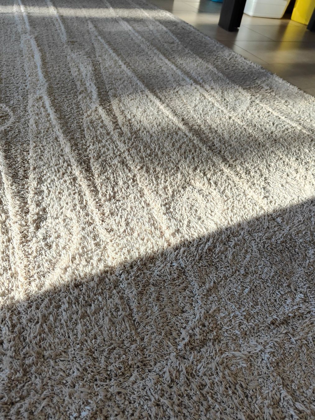 Tappeti: Hochflorteppich 200 x 290cm – Usato da Rickenbach b. Wil venduto da Beautiful.Things 3