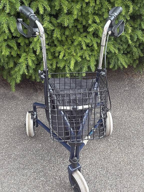 Ausili per la deambulazione: Rollator  – Usato da Villars-sur-Glâne venduto da AllisonGina 2