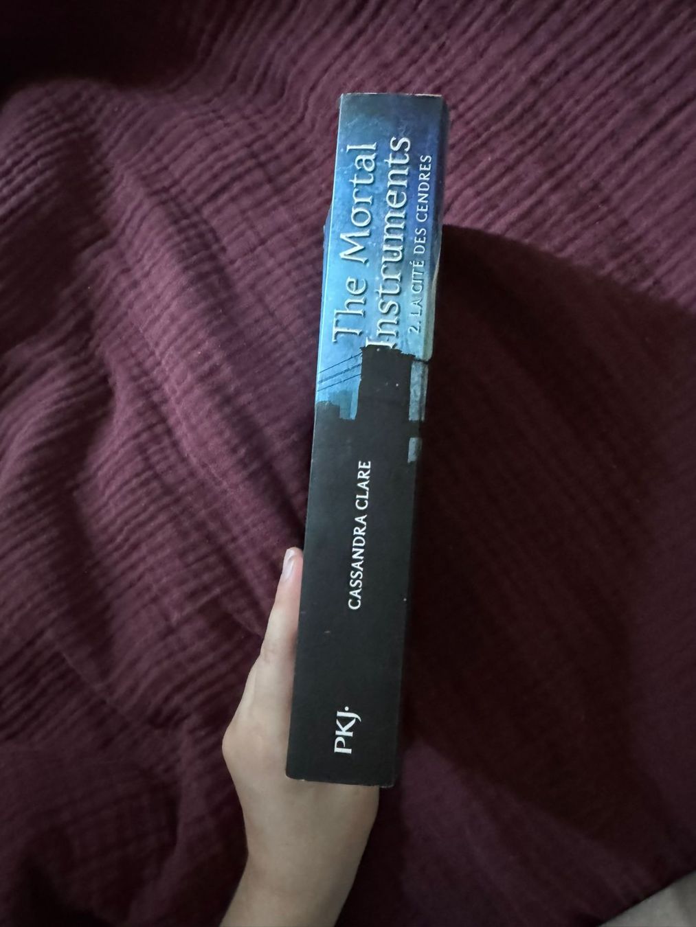 Livres: The Mortal Instruments - Tom 2 - Cassandra Clare – D'occasion à Genève par adrianito34 2