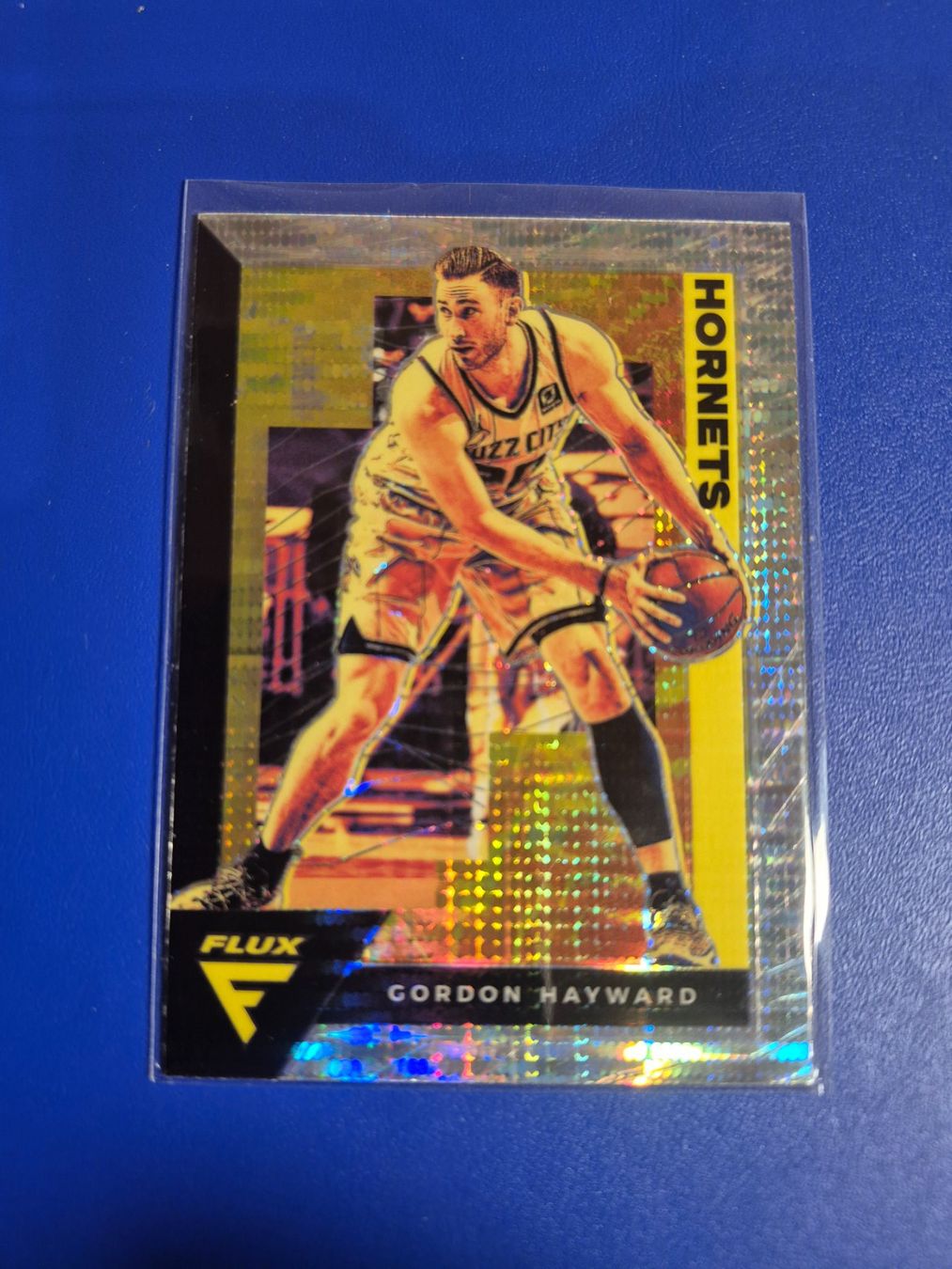 Panini Carte collezionabili: NBA Gordon Hayward Charlotte Hornets – Usato da Treiten venduto da Sauber73