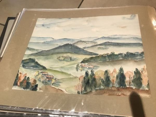 Dipinti: Viele Gemälde A3 Krapf – Usato da Bergdietikon venduto da book-4-you 8