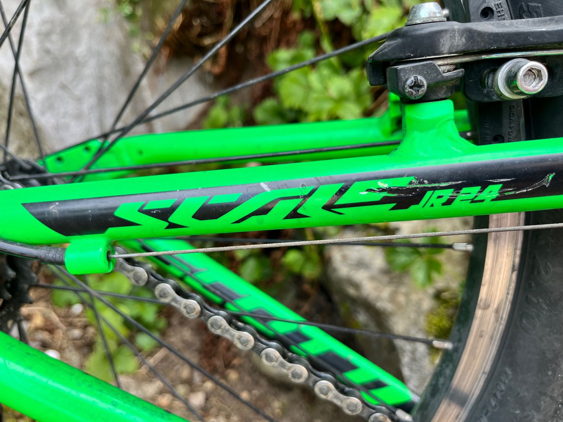 Scott Biciclette: SCOTT Kinderfahrrad JR24 grün – Usato da Hittnau venduto da est_cc2q 3