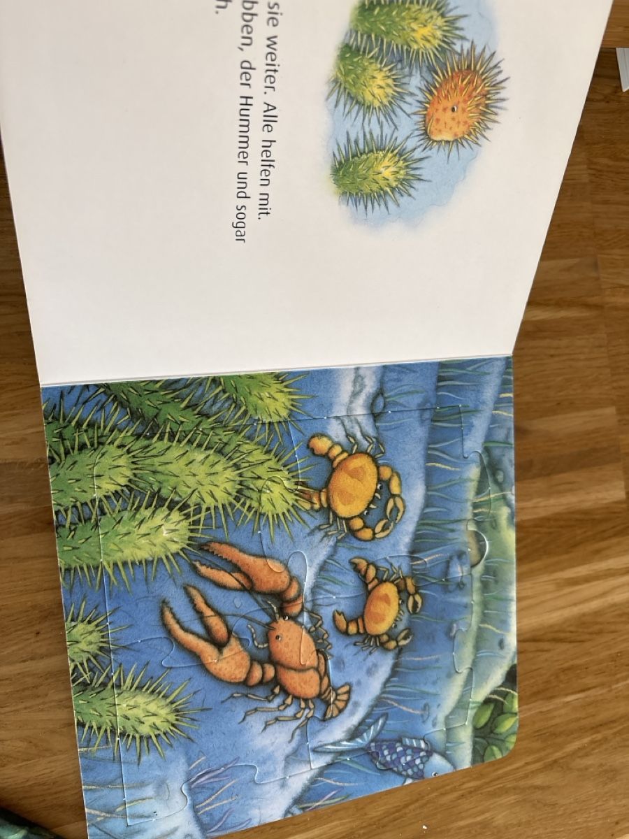 Libri: 2 Kinderbücher "Der Regenbogenfisch" von Marcus Pfister – Usato da Zürich venduto da venusandmars 1