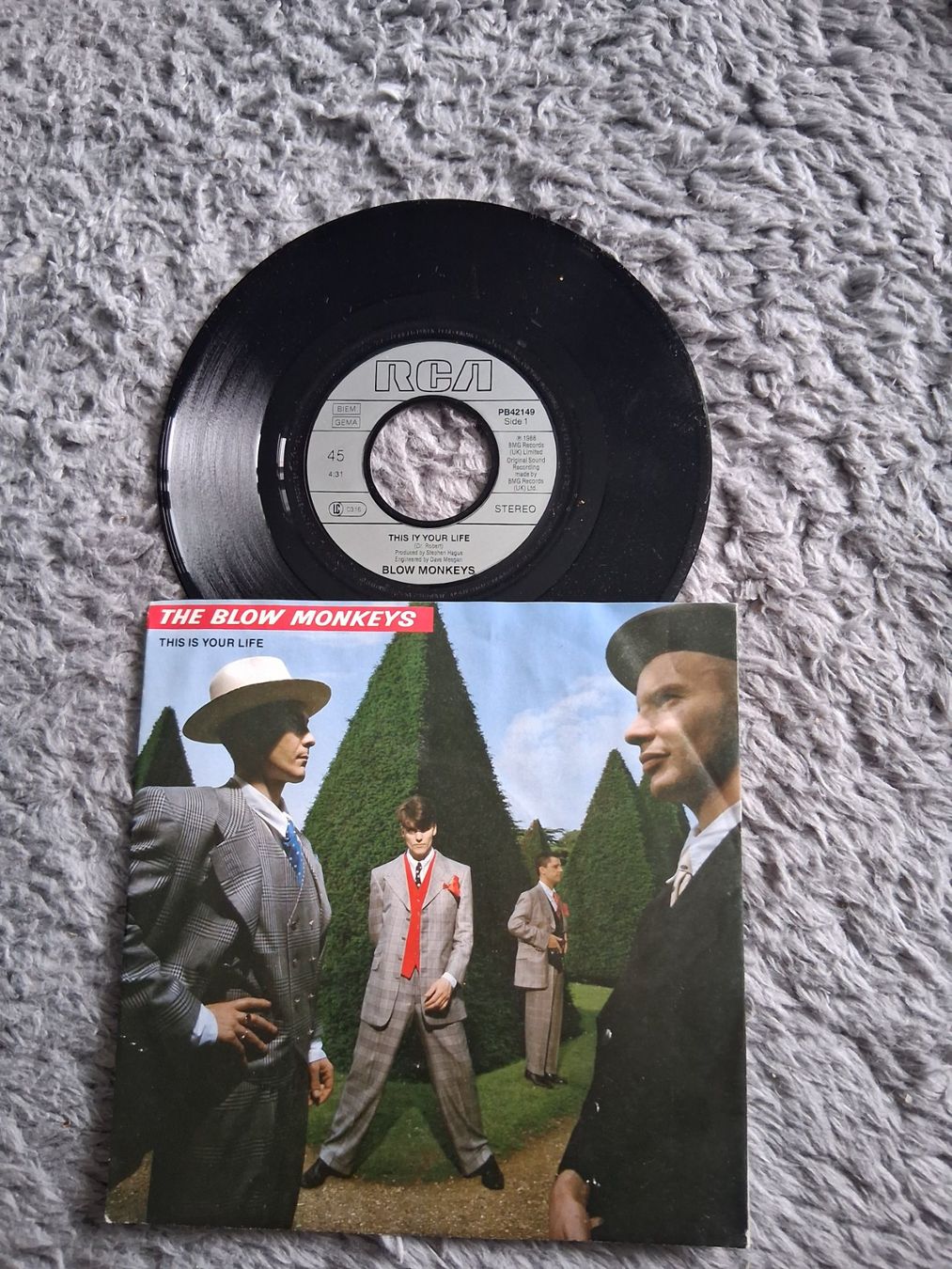 Dischi in vinile: THE BLOW MONKEYS      THIS IS YOUR LIFE     7NER SINGLE – Usato da Wetzikon ZH venduto da Ramones01