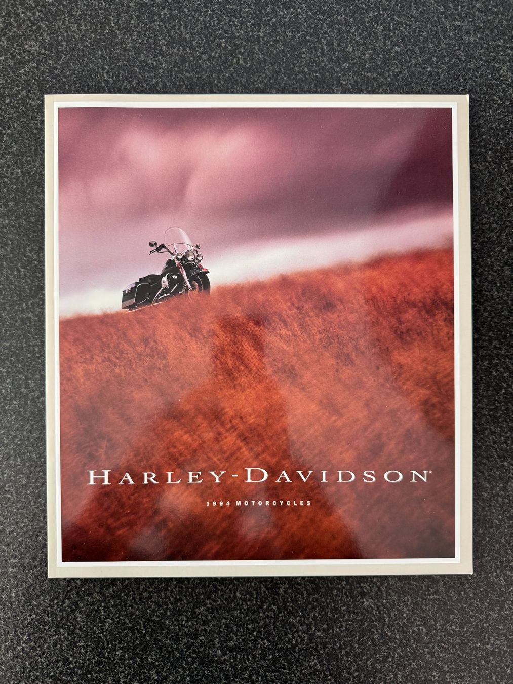 Documenti: Harley-Davidson Prospekt, Katalog, Broschüre 1994 – Usato da Niederhasli venduto da Berno