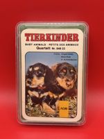 Quartett Tierkinder Baby Animals KONCORDIA AGM