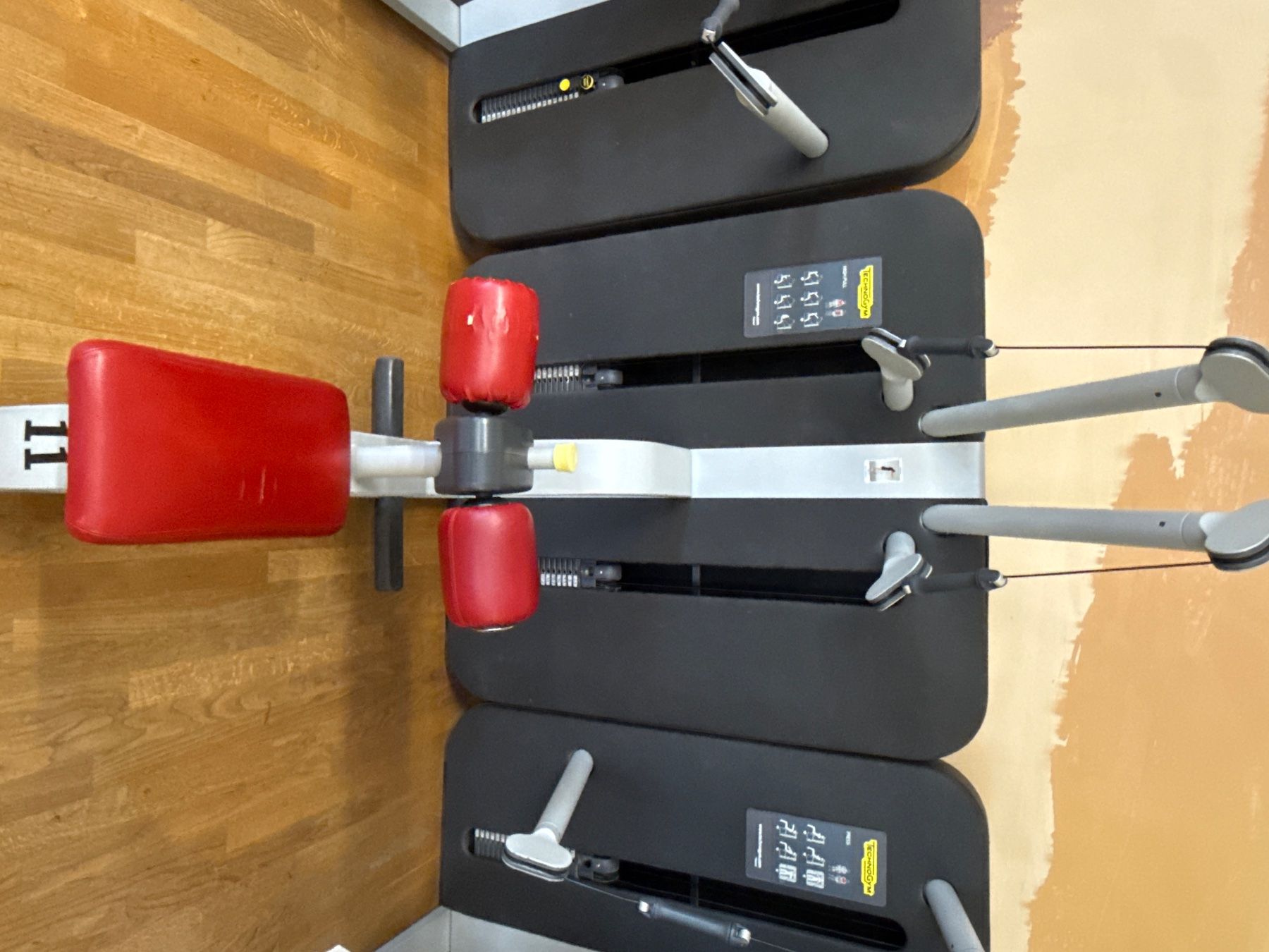 Technogym Vélos d'appartement: Technogym High Pull - Oberkörper Rudern - 300VB – D'occasion à Mettmenstetten par Nils_Gut_GZG