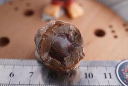 Chocolat Opal Nuss   67ct Einzelstück TOPSTONE
