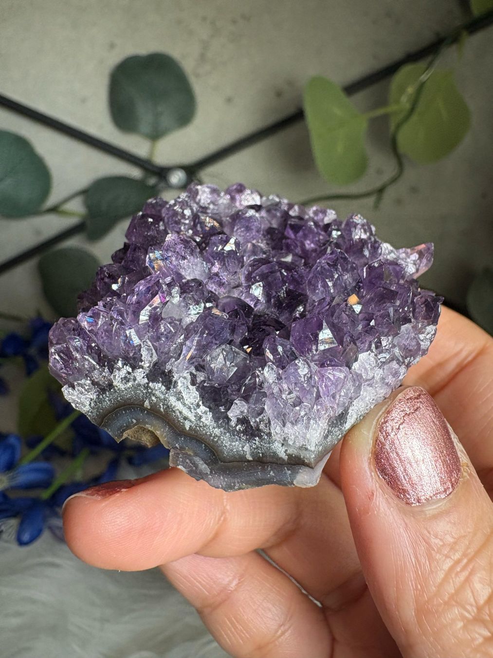 Edelsteine: Uruguay Amethyst – Super High Quality – Neu (gemäss Beschreibung) aus Neuheim von m.hald 3