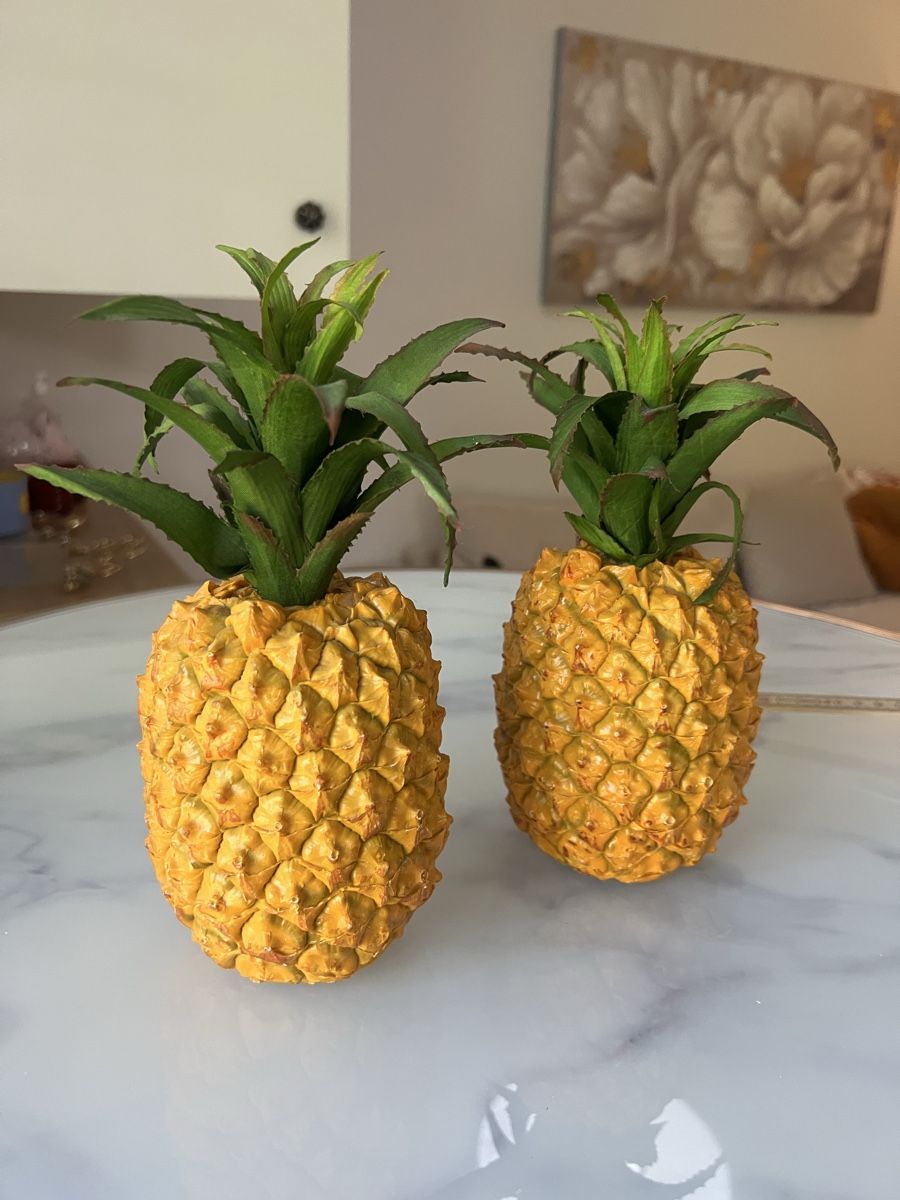 Tutte le decorazioni: Deko Ananas Set 2 Stück  – Usato da Zürich venduto da R1908