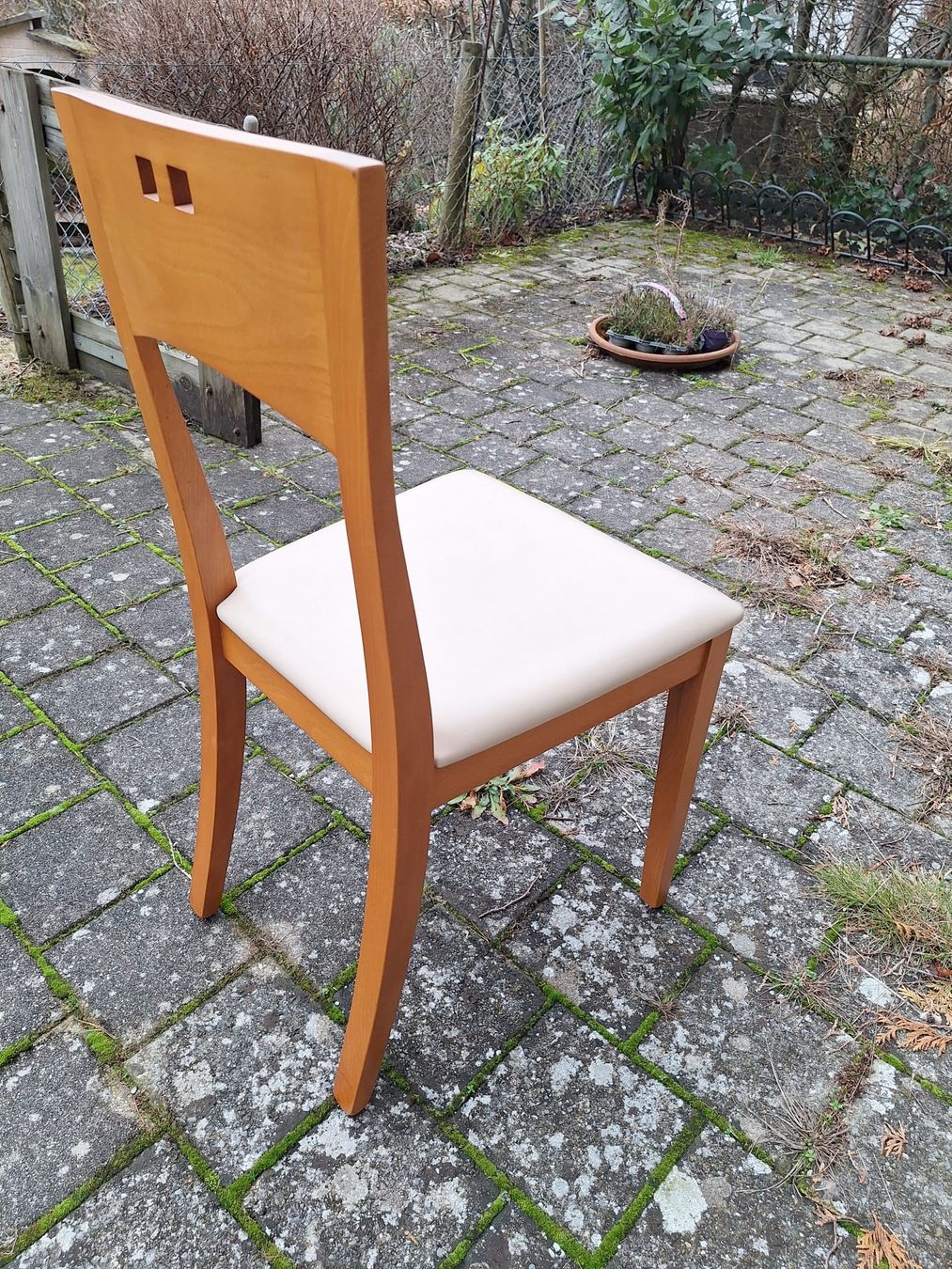 Sedie: 6 x Stühle – Usato da Müntschemier venduto da Fee_00 3