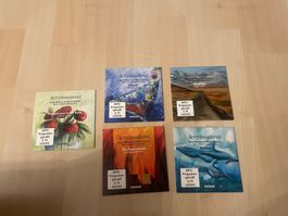 CDs - Acrylmalerei