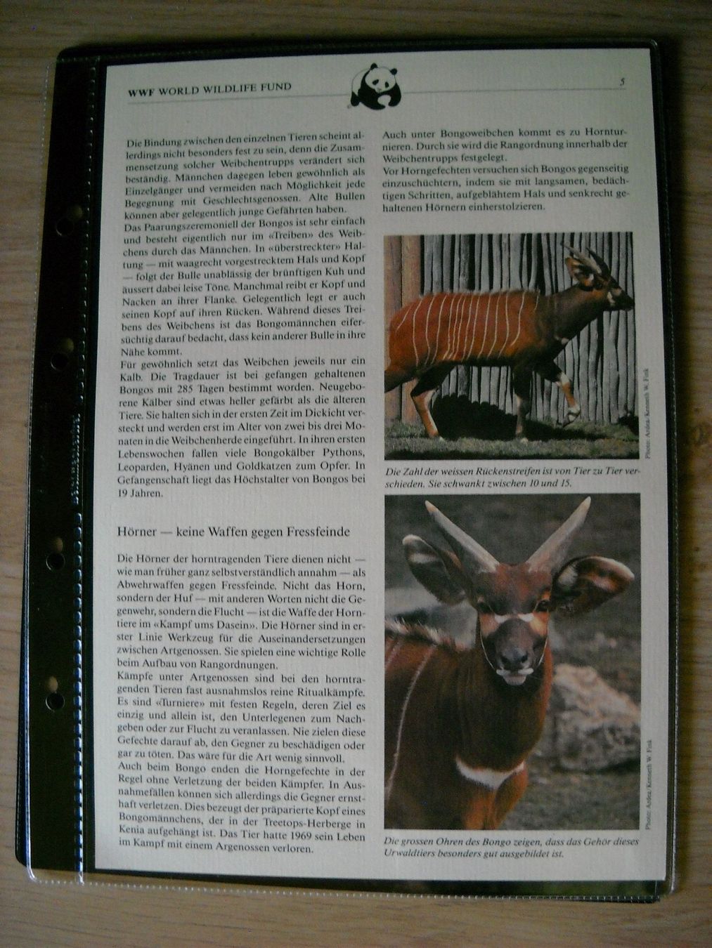 Tutti i francobolli: WWF Der Bongo Sammlung Seite mit Briefmarken – Nuovo (secondo la descrizione) da Boningen venduto da FrediP 4