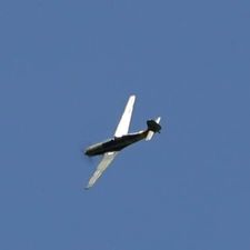 Profile image of Steiner031